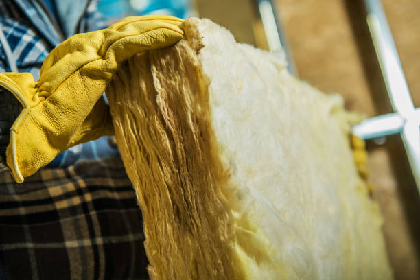 Best Geographic-Specific Insulation Services in Viroqua, WI
