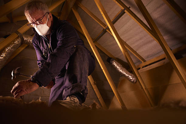 Best Geographic-Specific Insulation Services in Viroqua, WI
